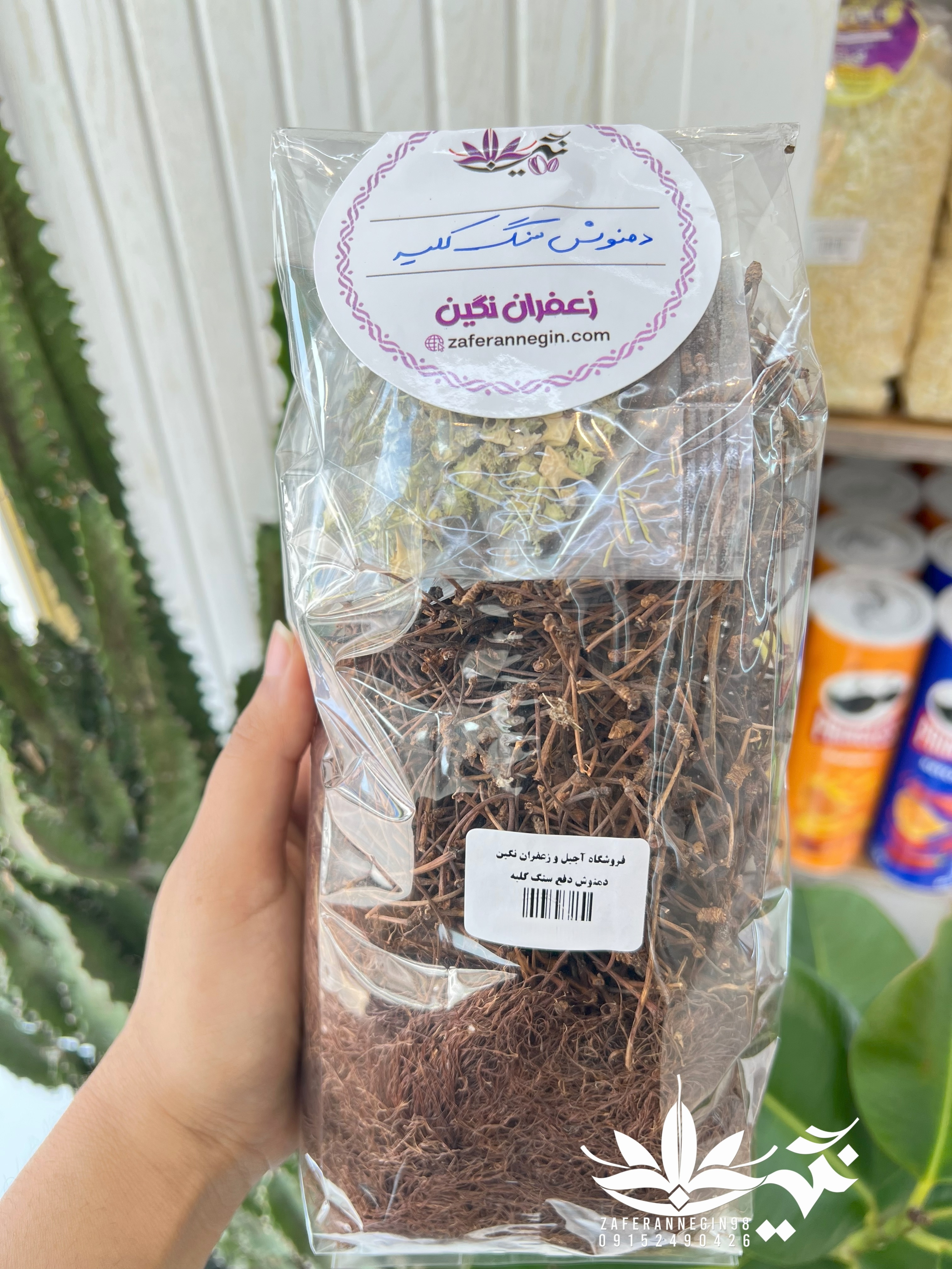 دمنوش سنگ کلیه