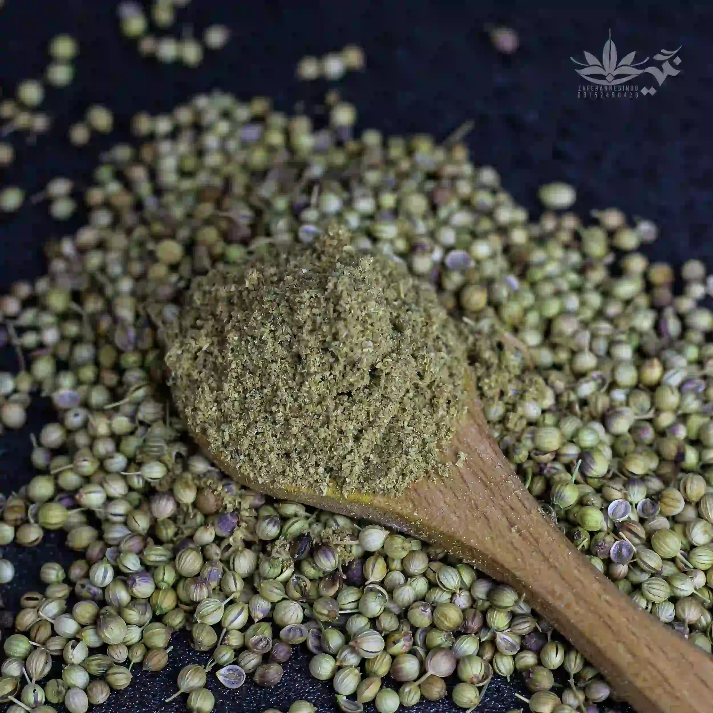تخم گشنیز