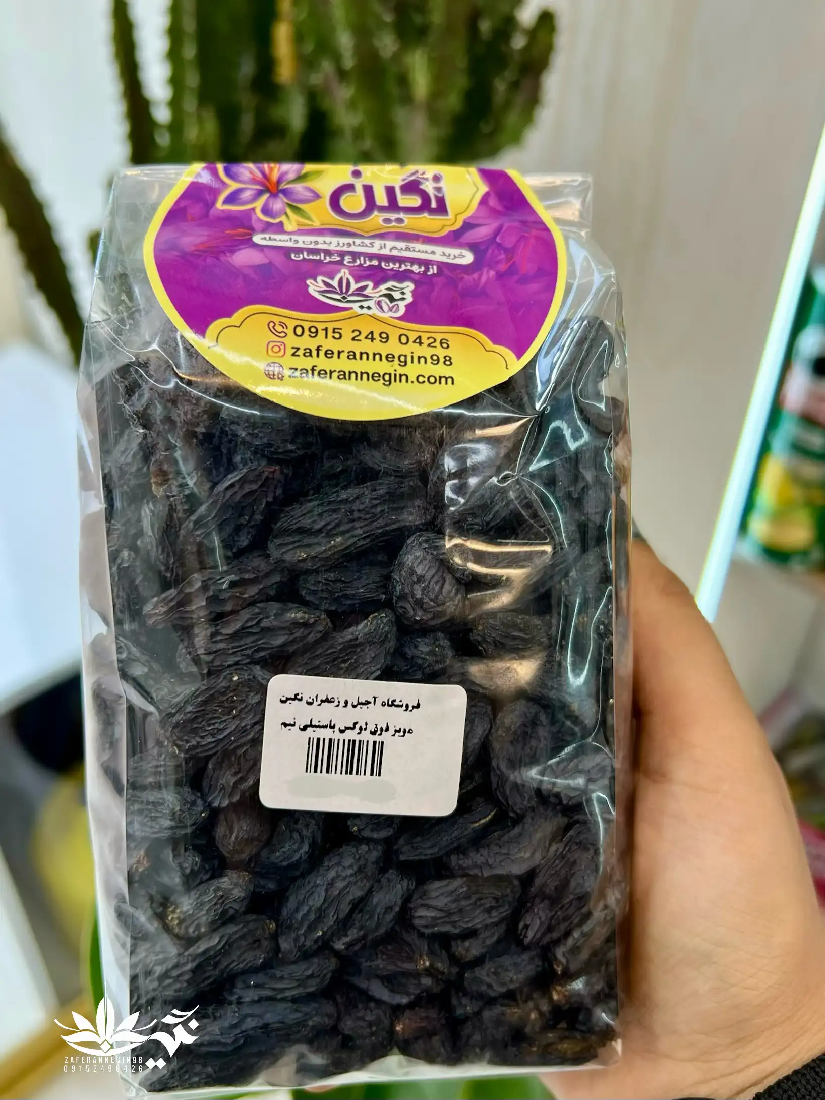 مویز پاستیلی فوق لوکس بدون هسته